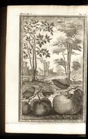 An illustration from Giro del mondo del dottor d. Gio. Francesco Gemelli Careri (1699)