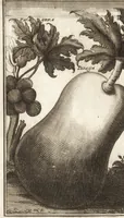 An illustration from Giro del mondo del dottor d. Gio. Francesco Gemelli Careri (1699)