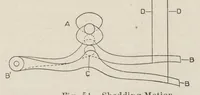 An illustration from Cyclopedia of textile work : a general reference library on cotton, woolen and worsted yarn manufacture, weaving, designing, chemistry and dyeing, finishing, knitting, and allied subjects (1907)