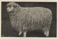 An illustration from Cyclopedia of textile work : a general reference library on cotton, woolen and worsted yarn manufacture, weaving, designing, chemistry and dyeing, finishing, knitting, and allied subjects (1907)