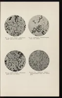 An illustration from The chemistry and technology of mixed paints (1907)