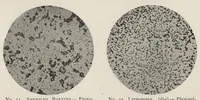 An illustration from The chemistry and technology of mixed paints (1907)