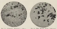 An illustration from The chemistry and technology of mixed paints (1907)