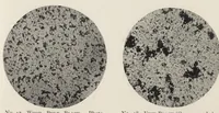 An illustration from The chemistry and technology of mixed paints (1907)
