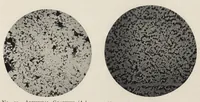An illustration from The chemistry and technology of mixed paints (1907)