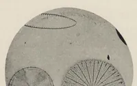 An illustration from The chemistry and technology of mixed paints (1907)