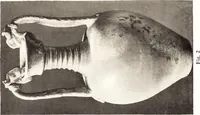 An illustration from Chinese pottery and porcelain: an account of the potter's art in China from primitive times to the present day...forty plates in colour and ninety-six in black and white (1915)