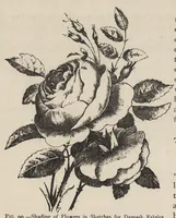 An illustration from Jacquard machine; analyzed & explained the preparation of Jacquard cards & practical hints to learners of Jacquard designing (1893)