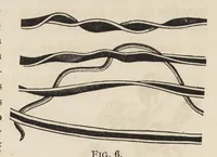 An illustration from The structure of fibres, yarns and fabrics : being a practical treatise for the use of all persons employed in the manufacture of textile fabrics (1891)