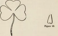 An illustration from Ancient pagan and modern Christian symbolism (1922)