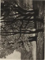 An illustration from Modern paintings by German and Austrian masters (1916)