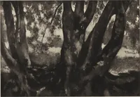 An illustration from Modern paintings by German and Austrian masters (1916)