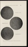 Picture 11 of 18 from Paint technology and tests (1911), leaf 168