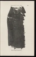 Picture 17 of 18 from Paint technology and tests (1911), leaf 252