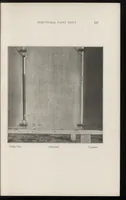Picture 18 of 18 from Paint technology and tests (1911), leaf 260