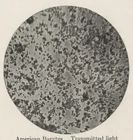 An illustration from Paint technology and tests (1911)