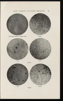An illustration from Paint technology and tests (1911)