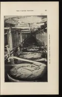 Picture 7 of 17 from The lead and zinc pigments (1909), leaf 104