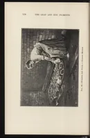Picture 11 of 17 from The lead and zinc pigments (1909), leaf 147