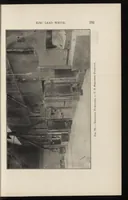 Picture 15 of 17 from The lead and zinc pigments (1909), leaf 216