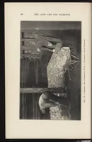 An illustration from The lead and zinc pigments (1909)