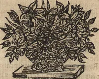 An illustration from Description des tableaux du Palais Royal, avec la vie des peintres à la tête de leurs ouvrages, dédiée à Monseigneur le duc d'Orleans, premier prince du sang (1727)