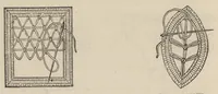 An illustration from Lace, ancient and modern : comprising a history of its origin and manufacture, with instructions concerning the manner of making it (1880)