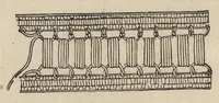 An illustration from Lace, ancient and modern : comprising a history of its origin and manufacture, with instructions concerning the manner of making it (1880)