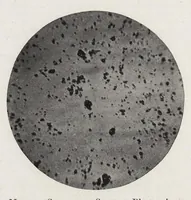 An illustration from The chemistry and technology of paints (1916)