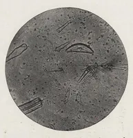 An illustration from The chemistry and technology of paints (1916)
