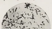 An illustration from The chemistry and technology of paints (1916)