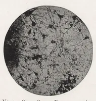 An illustration from The chemistry and technology of paints (1916)