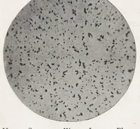 An illustration from The chemistry and technology of paints (1916)