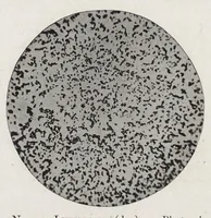 An illustration from The chemistry and technology of paints (1916)