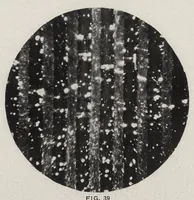 An illustration from Papers on paint and varnish and the materials used in their manufacture (1920)