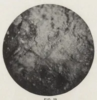 An illustration from Papers on paint and varnish and the materials used in their manufacture (1920)