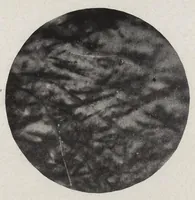 An illustration from Papers on paint and varnish and the materials used in their manufacture (1920)