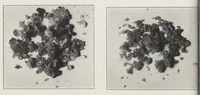An illustration from Papers on paint and varnish and the materials used in their manufacture (1920)