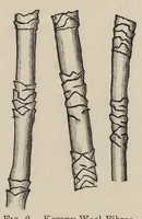 Picture 1 of 14 from The dyeing of woollen fabrics (1902), leaf 14