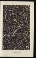An illustration from Design in textile fabrics (1885)