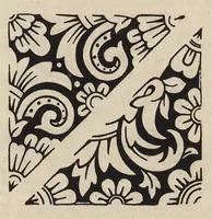Picture 2 of 17 from Decorative and fancy textile fabrics : with designs and illustrations (1898), leaf 28