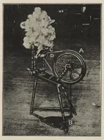 Picture 3 of 16 from Textiles (1919), leaf 102