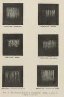 Picture 2 of 16 from Textiles (1919), leaf 52