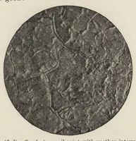An illustration from Iron corrosion : anti-fouling and anti-corrosive paints (1900)
