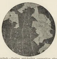 An illustration from Iron corrosion : anti-fouling and anti-corrosive paints (1900)