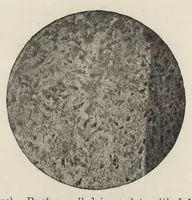 An illustration from Iron corrosion : anti-fouling and anti-corrosive paints (1900)