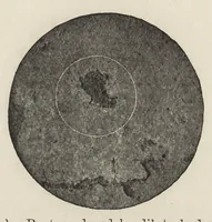 An illustration from Iron corrosion : anti-fouling and anti-corrosive paints (1900)