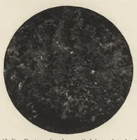 An illustration from Iron corrosion : anti-fouling and anti-corrosive paints (1900)