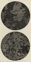 An illustration from Iron corrosion : anti-fouling and anti-corrosive paints (1900)