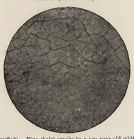 An illustration from Iron corrosion : anti-fouling and anti-corrosive paints (1900)